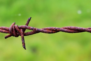 barbed-wire-721216_640